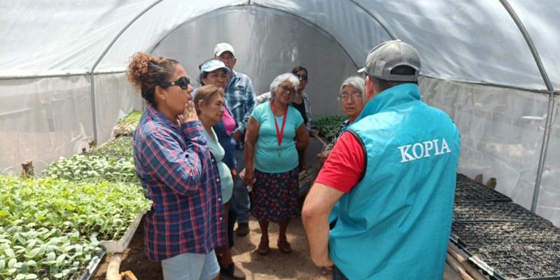 Supervisan avances técnicos en la producción de hortalizas del proyecto MAGA/KOPIA