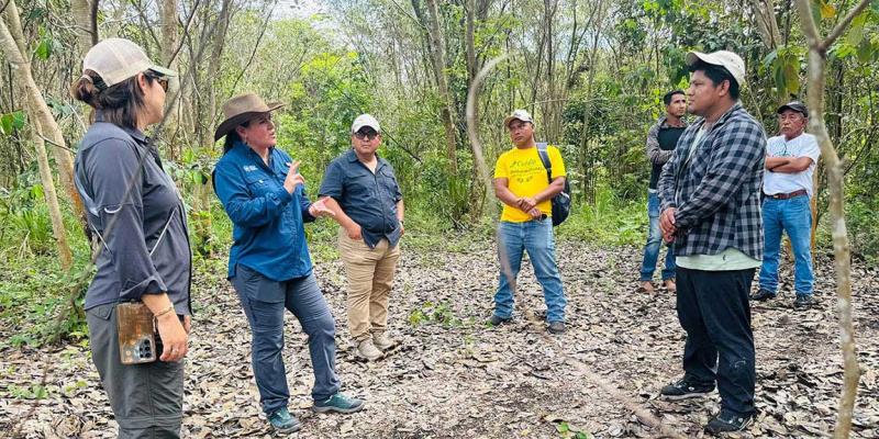 Verifican avances en áreas de restauración en La Palotada