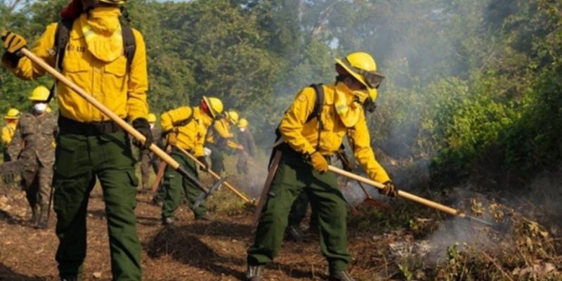 III Simulacro Nacional de Incendios Forestales fortalece la respuesta interinstitucional en Petén
