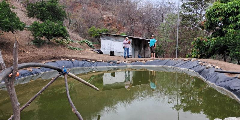 Asistencia técnica impulsa producción piscícola en Cabañas