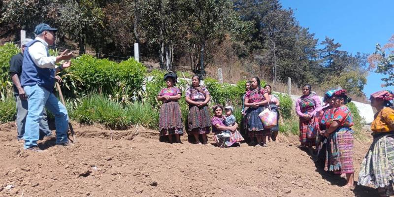 Impulsan la conservación de suelos para mejorar la productividad