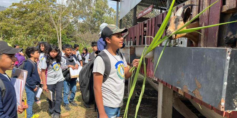 La experiencia que conecta a los estudiantes con la producción de alimentos