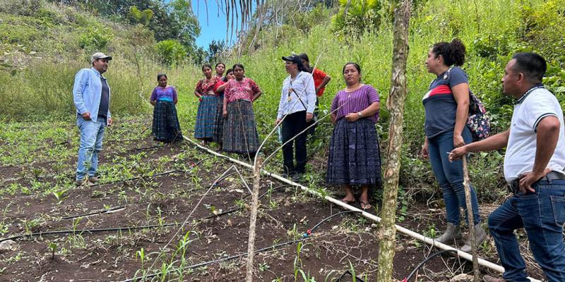 Trabajo conjunto fortalece huertos de familias de San Luis