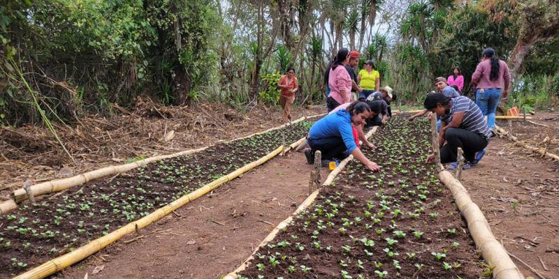 Establecen en Quezaltepeque un huerto comunitario con cultivos mejorados