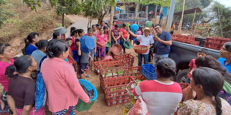 Una oportunidad para alimentar mejor a la familia