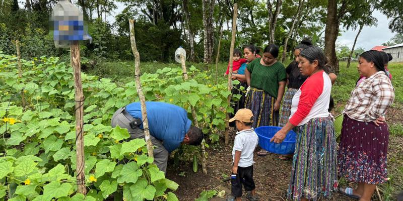 De la semilla a la mesa: mujeres Q’eqchi’ cosechan en Ixcán