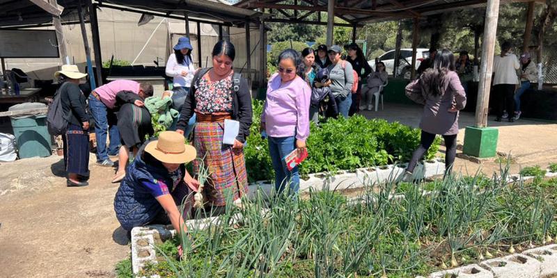 Entre huertos y corrales, técnicos rurales aprenden haciendo en Villa Nueva