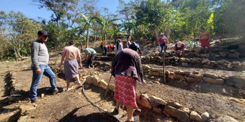 Familias de Baja Verapaz tecnifican su producción de patio