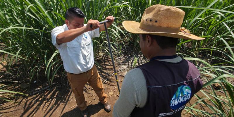 Avanza levantamiento de muestras de suelo en Escuintla