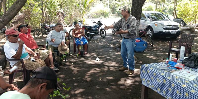 Capacitan a productores para prevenir Gusano Barrenador