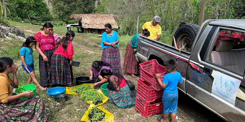 Entrega de pilones fortalece la producción agrícola petenera