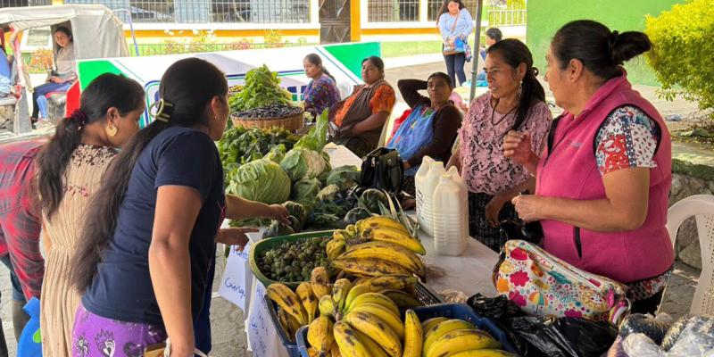 Colores y frescura: Feria del Agricultor de Alta Verapaz celebra la abundancia de la agricultura
