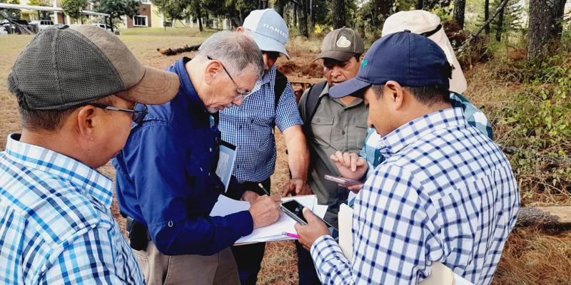 Sistemas agroforestales impulsan la productividad sostenible