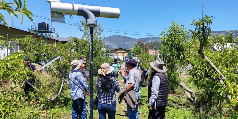 Fruticultores de Tejutla fortalecen conocimientos en el manejo de cultivos deciduos