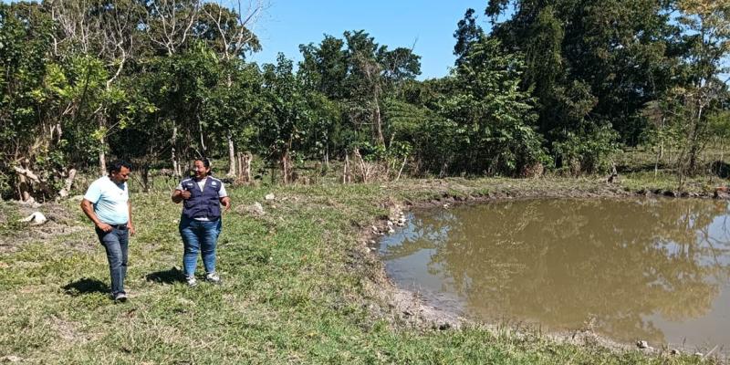 Impulsan cultivo de tilapia en Petén