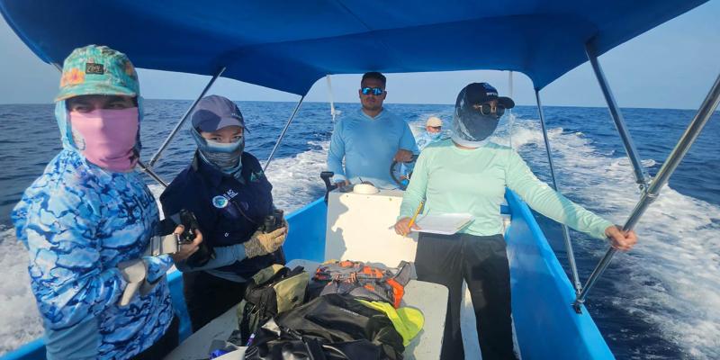 Impulsan investigación de megafauna marina en el Pacífico guatemalteco