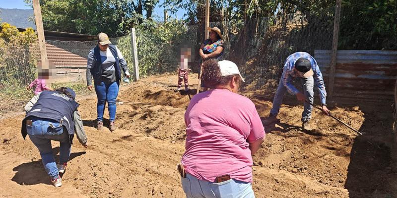 Los huertos que transforman hogares