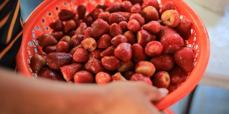 Fresas para la elaboración de mermelada