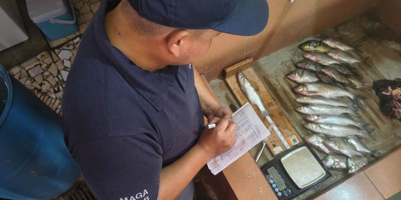 Monitorean especies pesqueras de Río Dulce