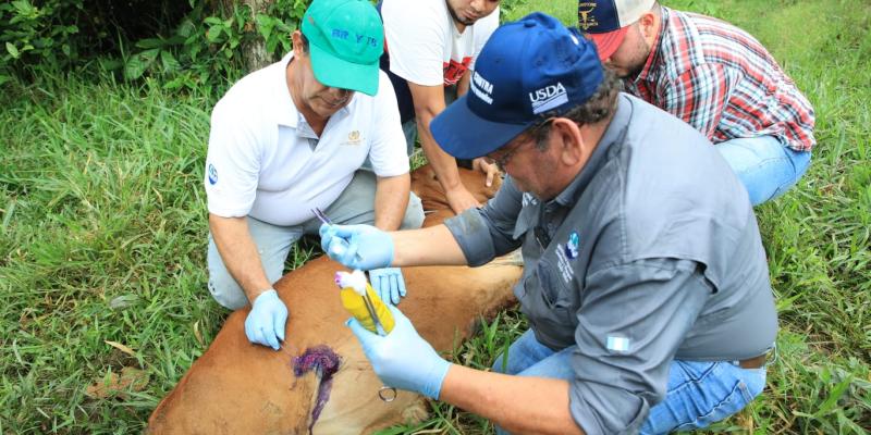 Reconociendo a quienes dedican su vida al cuidado animal