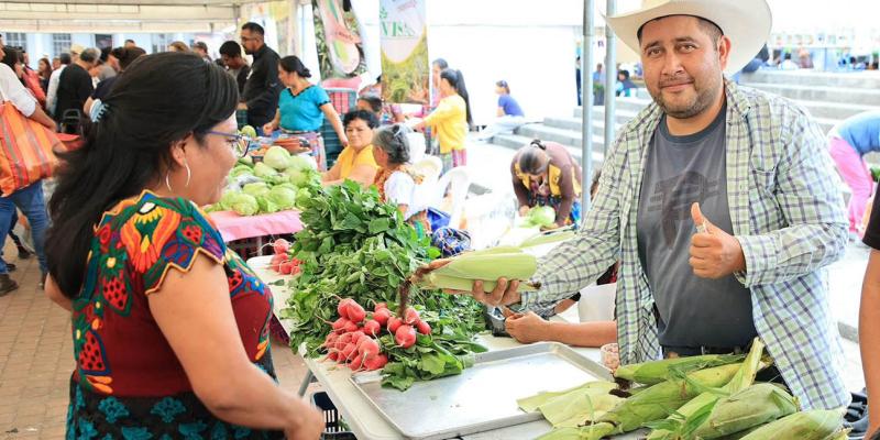 Regresa a Plaza Barrios la Feria del Agricultor, con productos frescos y precios accesibles