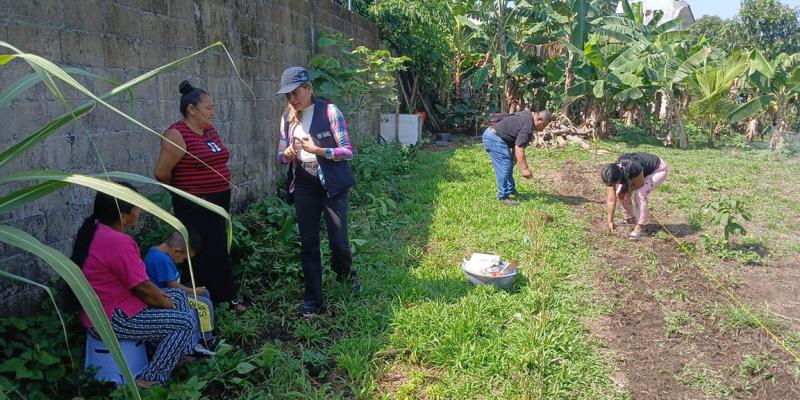 Sembrando y aprendiendo, comunidad cultiva sus alimentos