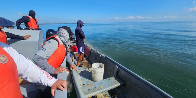 Verifican cumplimiento de veda de langosta en el Caribe guatemalteco