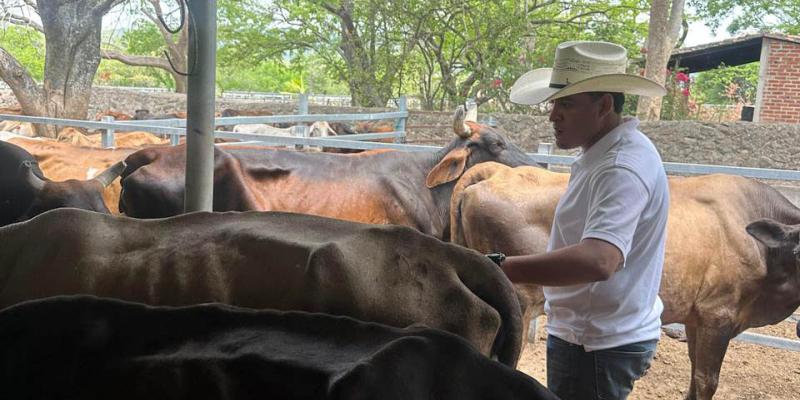Atienden 267 reses en jornada sanitaria