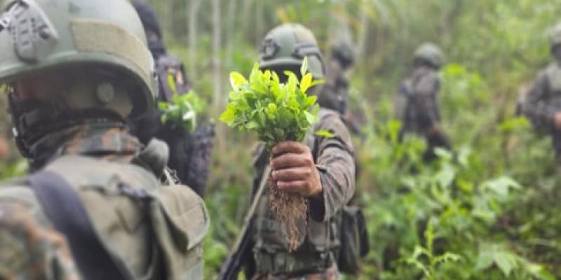Ejército de Guatemala intensifica acciones contra el narcotráfico en Petén.