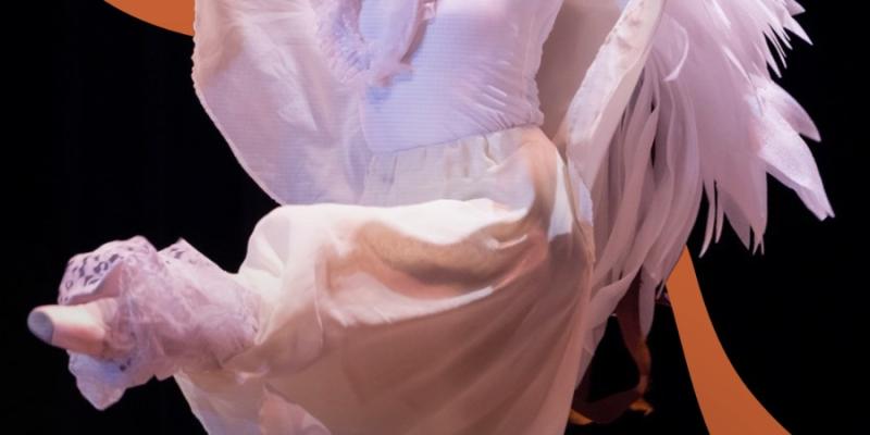 Festival Nacional de Danza y Movimiento