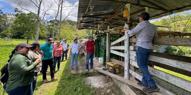 Intercambio de experiencias promueve la ganadería sostenible en Petén