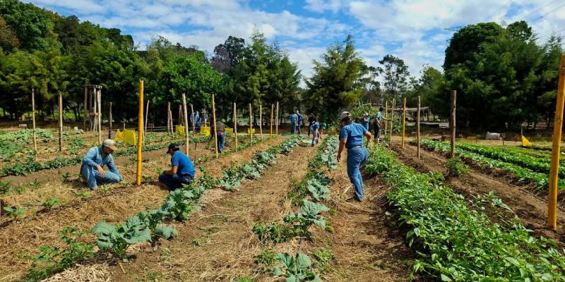 El calor y lluvias irregulares podrían afectar cultivos en 158 municipios