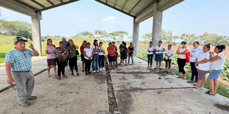 Optimizan cultivos de sandía y pepino con tecnología de riego
