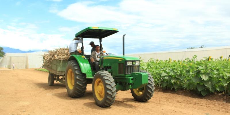 Aprobada la Política Sectorial Agropecuaria 2026-2032 para transformar el campo