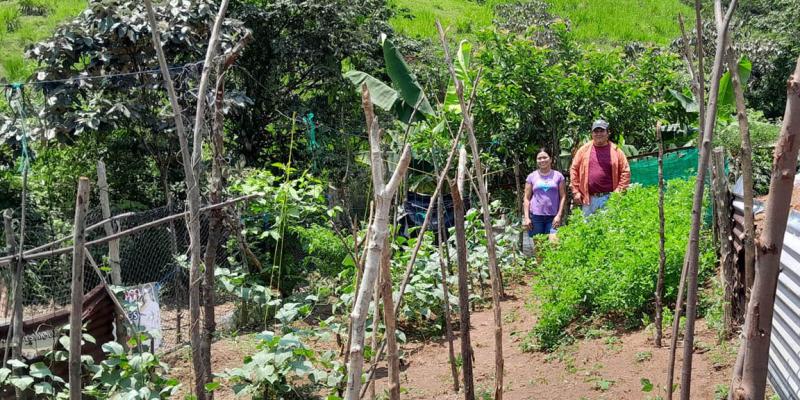 Asistencia técnica en campo fortalece huertos familiares
