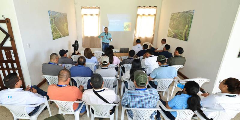Aprenden procedimientos fitosanitarios para exportar aguacate Hass a los Estados Unidos