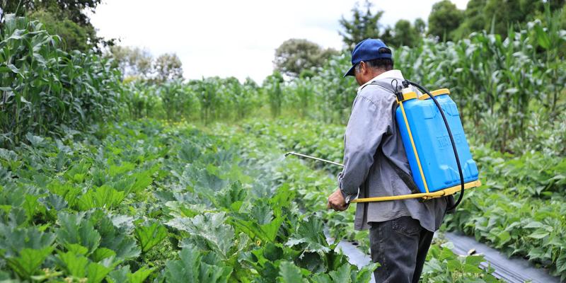 Crédito Tob’anik ha dado créditos por más de Q146 millones