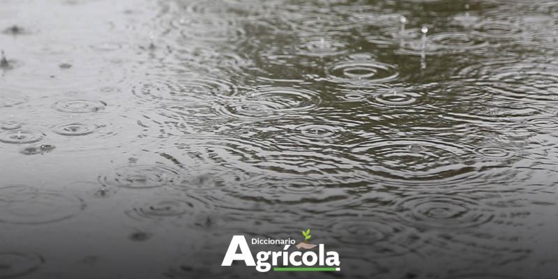 Diccionario Agrícola: Cosecha de Agua de Lluvia