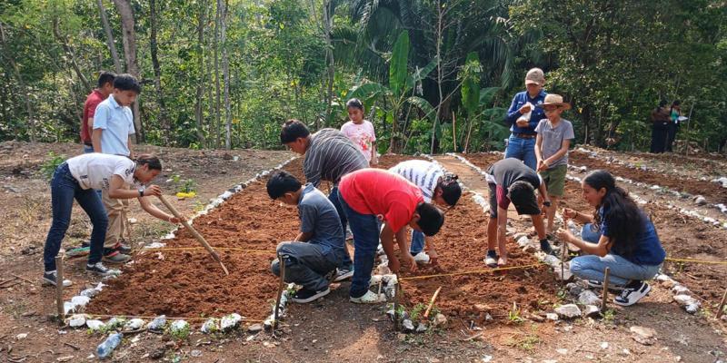 Estudiantes aprenden de agricultura sostenible y huertos escolares