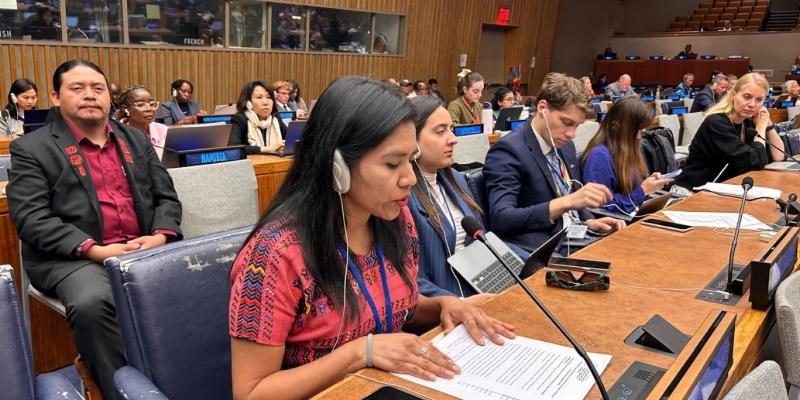 Eugenia Valey, directora de Planificación Sectorial de SEGEPLAN, expuso en Naciones Unidas