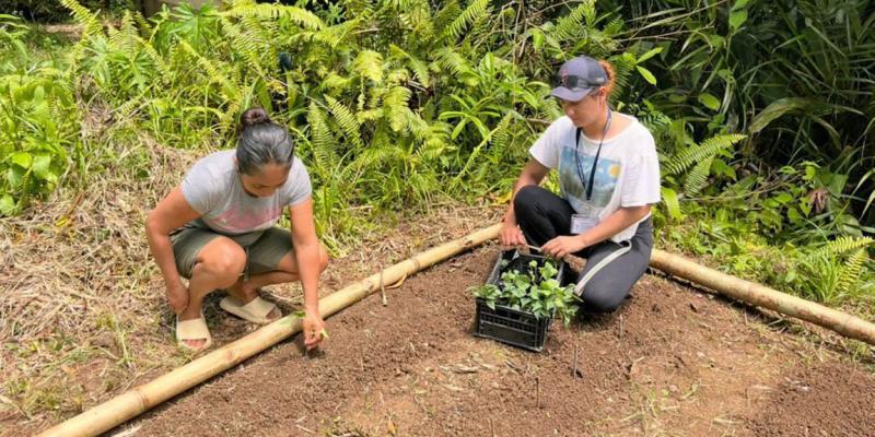 Familias de Izabal diversifican sus huertos con la entrega de pilones de hortalizas