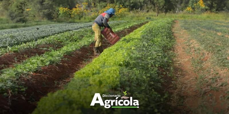 Diccionario Agrícola: Fitosanidad
