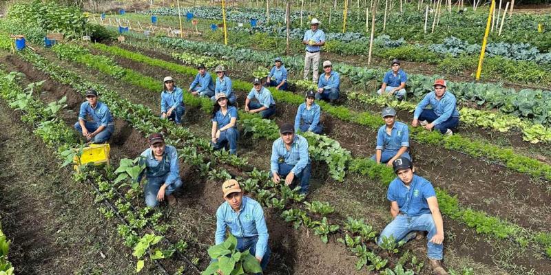 Futuros peritos agrónomos aplican el modelo "Aprender Haciendo" en cultivos hortícolas