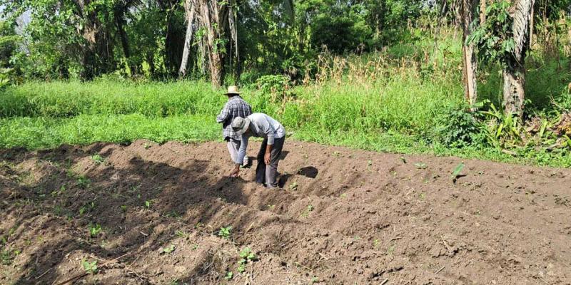 Huertos familiares abren oportunidades a retornados