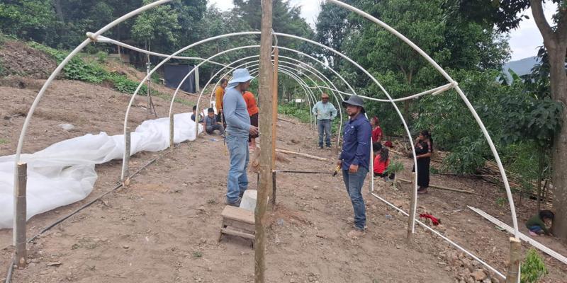 En Huehuetenango tecnifican la agricultura familiar con macrotúneles
