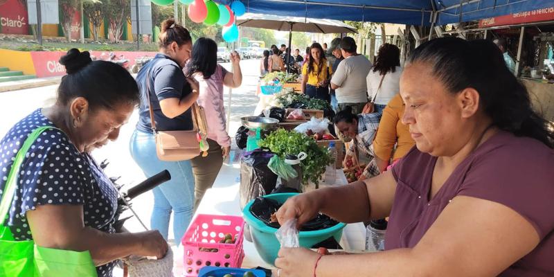 Impulsan comercialización directa con la Feria del Agricultor en El Progreso