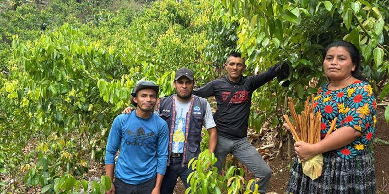 Impulsan la inserción de productores de canela y pimienta en cadenas de valor comerciales