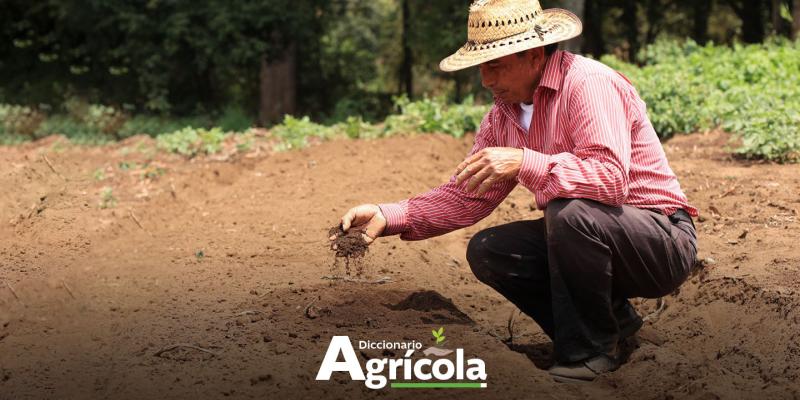 Diccionario Agrícola: Labranza mínima