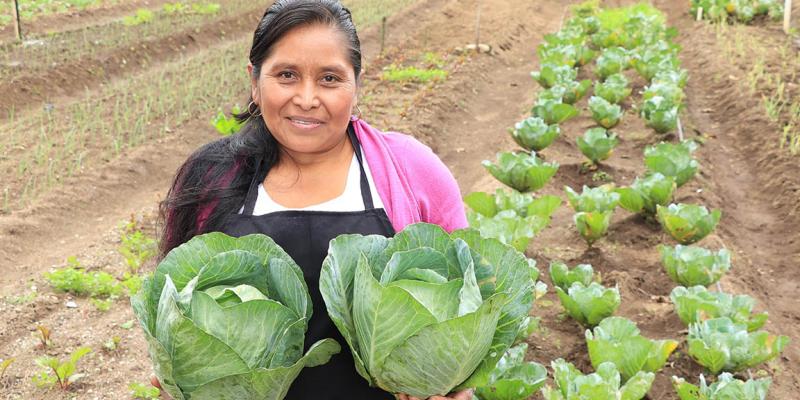 Liderazgo femenino en producción y comercialización