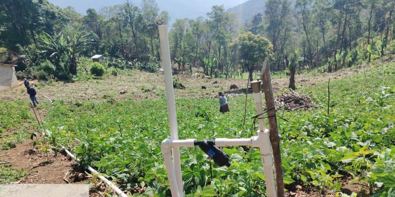 Optimizan sistemas productivos resilientes para asegurar el desarrollo sostenible del agro